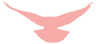 1698747075645196 1698747075645196